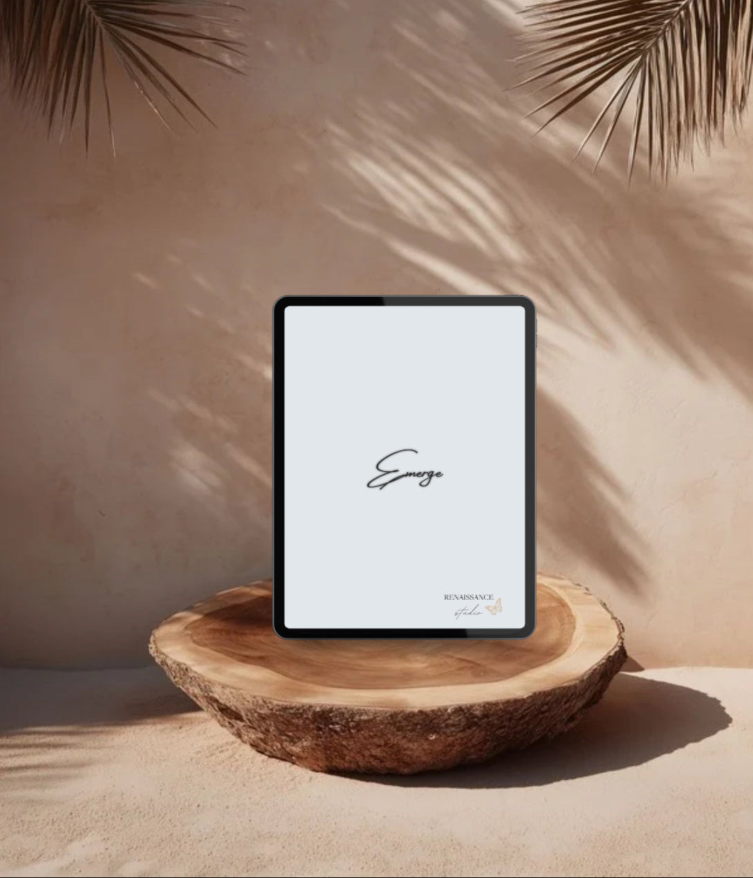 The Renaissance Experience Bundle